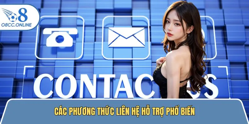 Hình thức liên hệ phổ biến được O8 hỗ trợ 